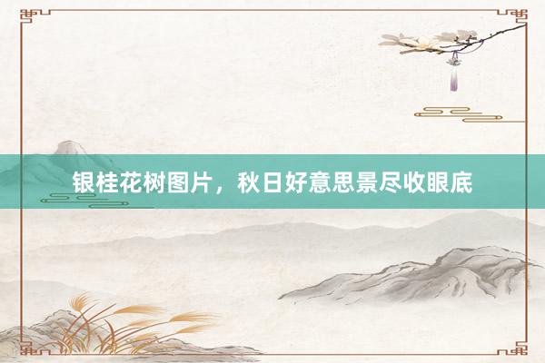 银桂花树图片，秋日好意思景尽收眼底